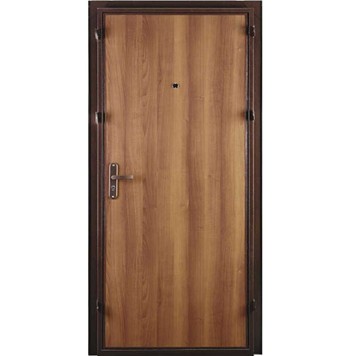 Дверь СПЕЦ PRO BMD-2060/960/L антик медь-6