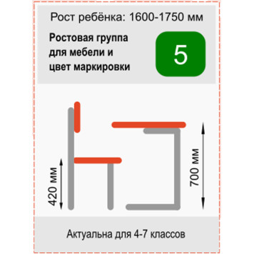 Стул ученический регулируемый Отличник.1 3-5 ФГК-3
