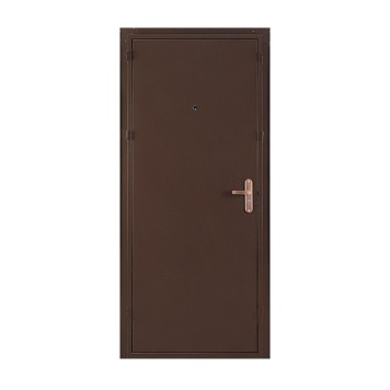 Металлическая дверь СПЕЦ BMD-1