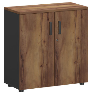 Шкаф СМШ-28Д Тип2 графит/таксония
